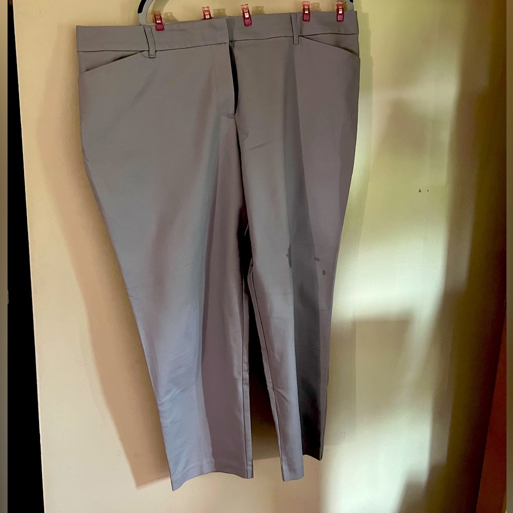 Career pants